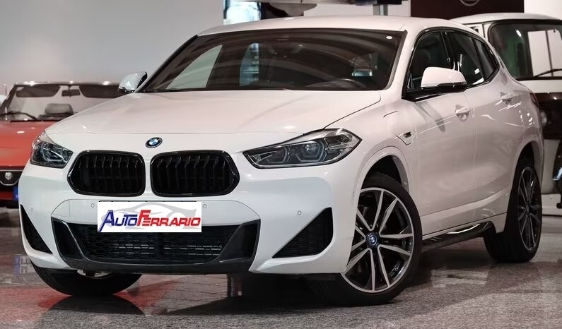 BMW X2            (F39)