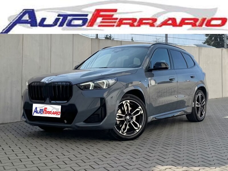 BMW X1            (U11)