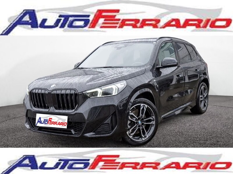 BMW X1            (U11)