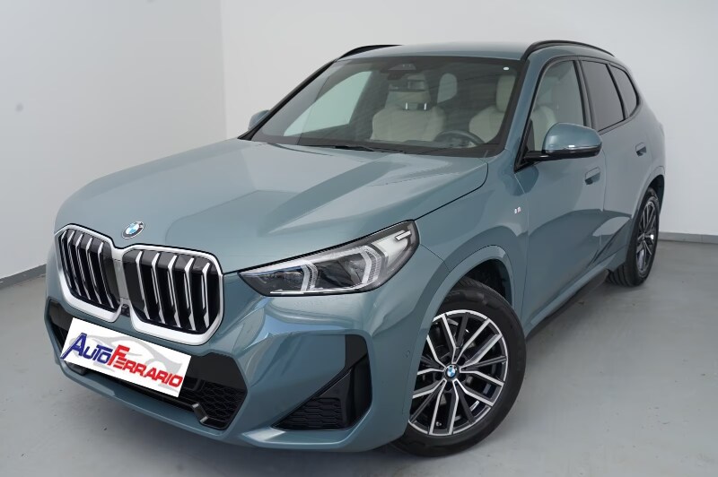 BMW X1            (U11)