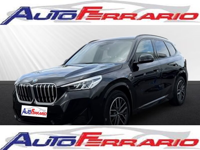 BMW X1            (U11)