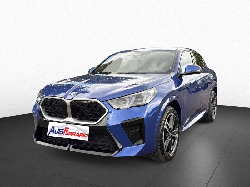 BMW X2            (U10)