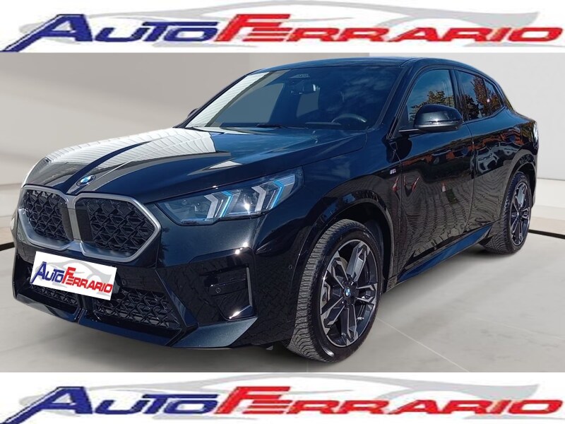 BMW X2            (U10)
