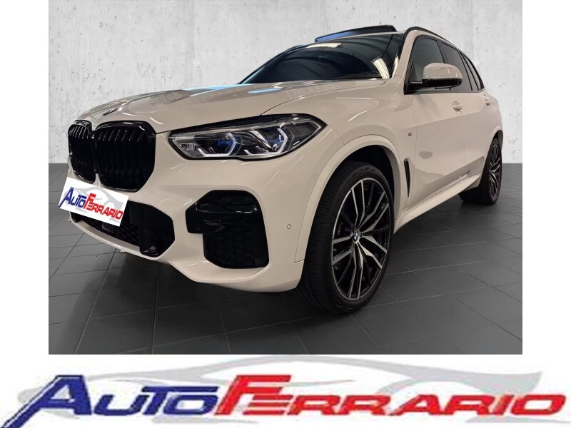 BMW X5        (G05/F95)