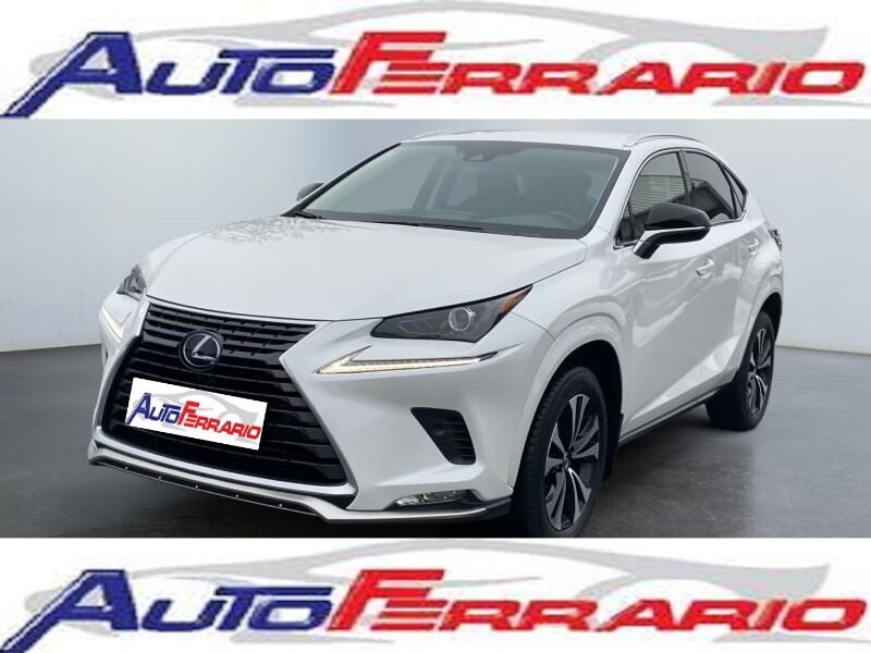 LEXUS NX 1ª serie